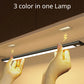 Wireless Motion Sensor Light